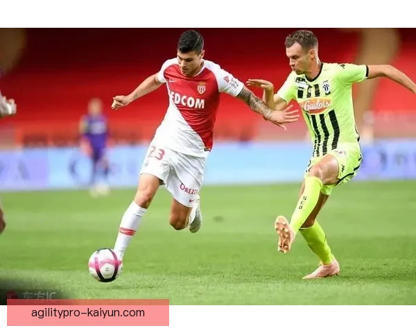 摩纳哥球队结构分析：转会策略与青训系统的持续优化